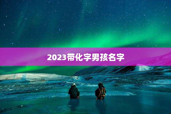 2023带化字男孩名字