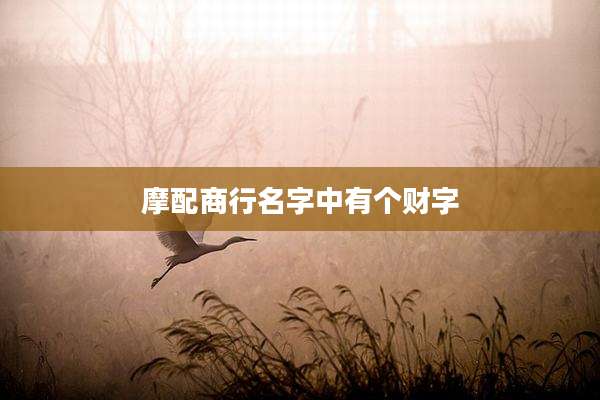 摩配商行名字中有个财字