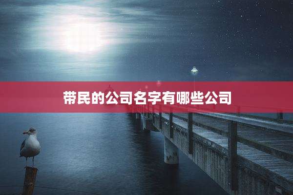 带民的公司名字有哪些公司