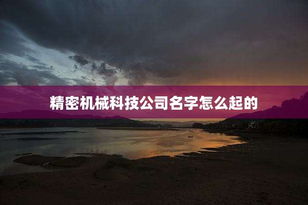 精密机械科技公司名字怎么起的