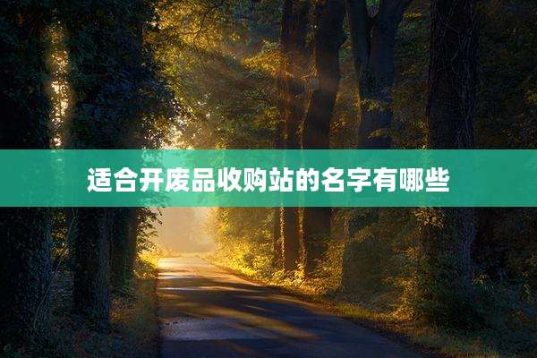 适合开废品收购站的名字有哪些