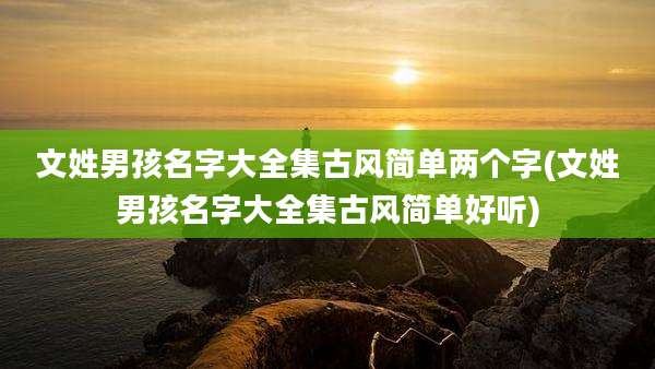 文姓男孩名字大全集古风简单两个字(文姓男孩名字大全集古风简单好听)