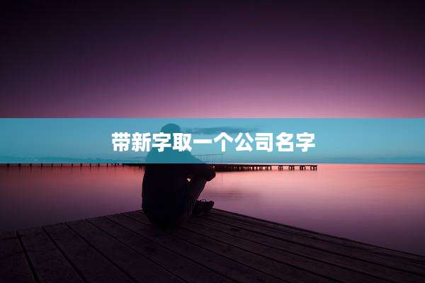带新字取一个公司名字