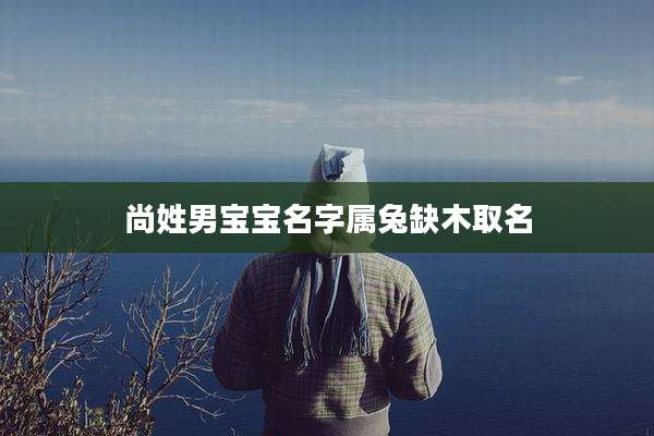 尚姓男宝宝名字属兔缺木取名