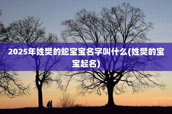 2025年姓樊的蛇宝宝名字叫什么(姓樊的宝宝起名)
