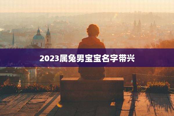 2023属兔男宝宝名字带兴