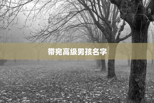 带宛高级男孩名字