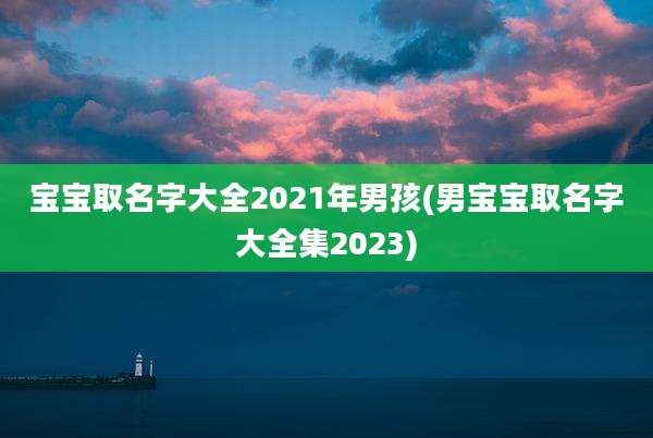 宝宝取名字大全2021年男孩(男宝宝取名字大全集2023)