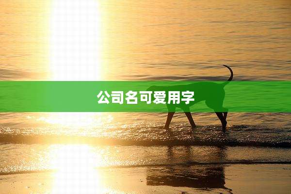 公司名可爱用字