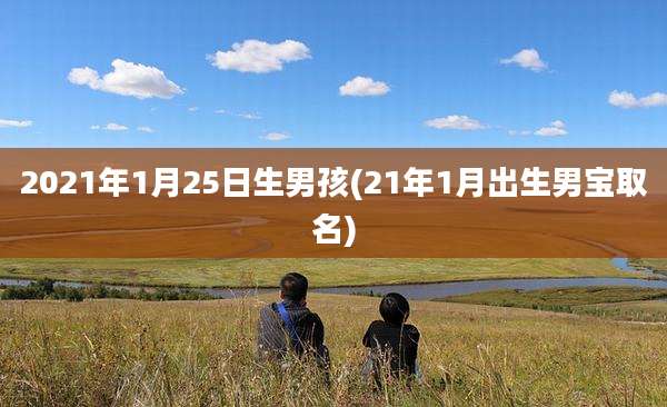 2021年1月25日生男孩(21年1月出生男宝取名)