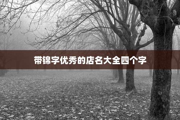 带锦字优秀的店名大全四个字
