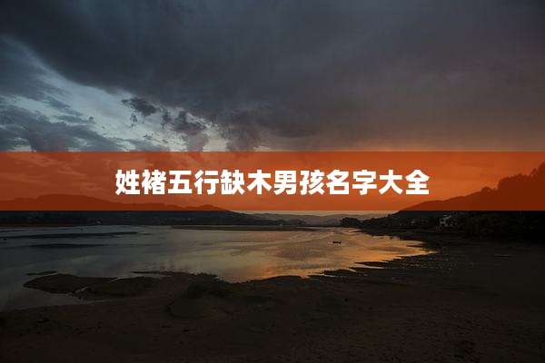 姓褚五行缺木男孩名字大全