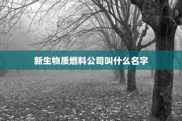 新生物质燃料公司叫什么名字