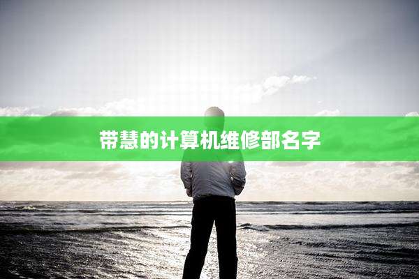 带慧的计算机维修部名字
