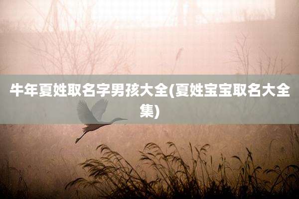 牛年夏姓取名字男孩大全(夏姓宝宝取名大全集)