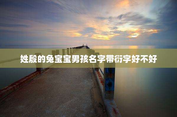 姓殷的兔宝宝男孩名字带衍字好不好