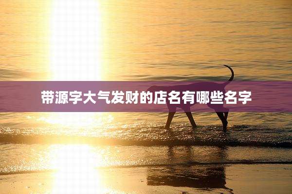 带源字大气发财的店名有哪些名字