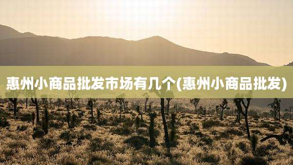 惠州小商品批发市场有几个(惠州小商品批发)