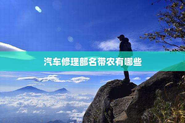 汽车修理部名带农有哪些
