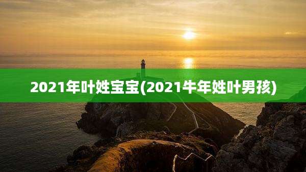 2021年叶姓宝宝(2021牛年姓叶男孩)