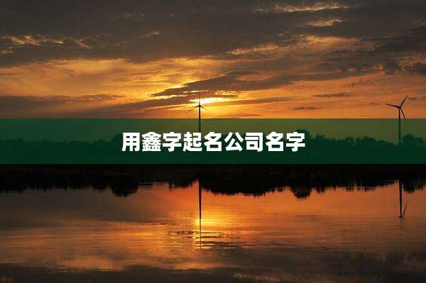 用鑫字起名公司名字