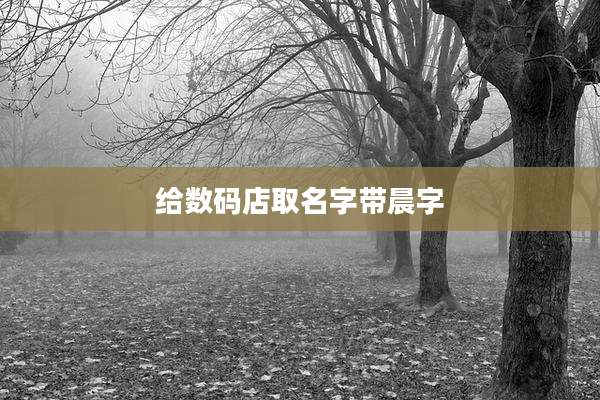 给数码店取名字带晨字