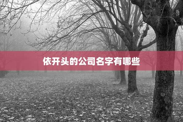 依开头的公司名字有哪些