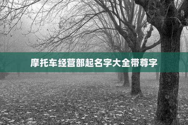 摩托车经营部起名字大全带尊字