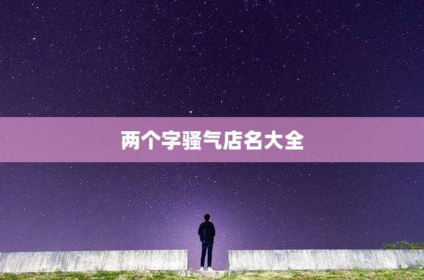 两个字骚气店名大全