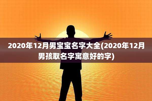 2020年12月男宝宝名字大全(2020年12月男孩取名字寓意好的字)