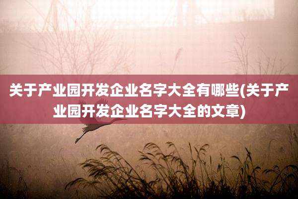 关于产业园开发企业名字大全有哪些(关于产业园开发企业名字大全的文章)