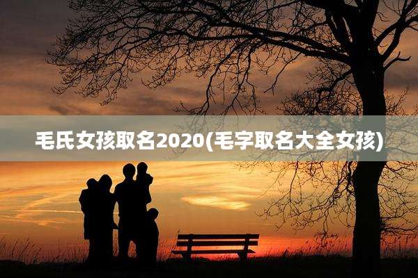 毛氏女孩取名2020(毛字取名大全女孩)