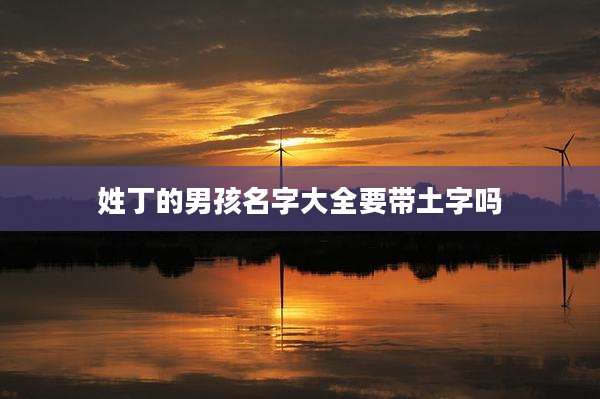 姓丁的男孩名字大全要带土字吗