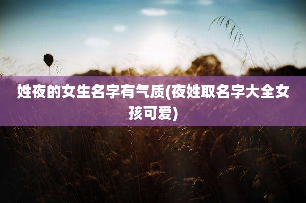 姓夜的女生名字有气质(夜姓取名字大全女孩可爱)