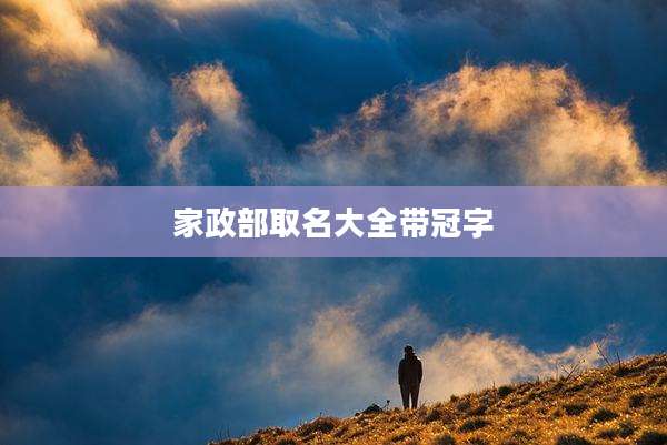家政部取名大全带冠字