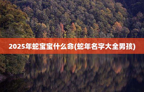2025年蛇宝宝什么命(蛇年名字大全男孩)