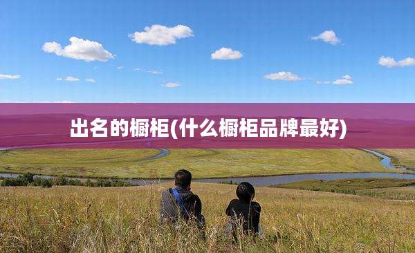 出名的橱柜(什么橱柜品牌最好)