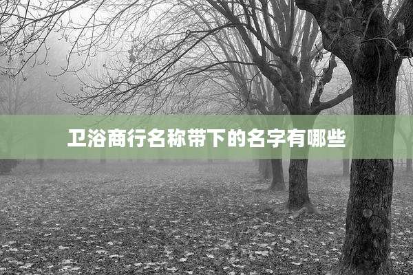 卫浴商行名称带下的名字有哪些