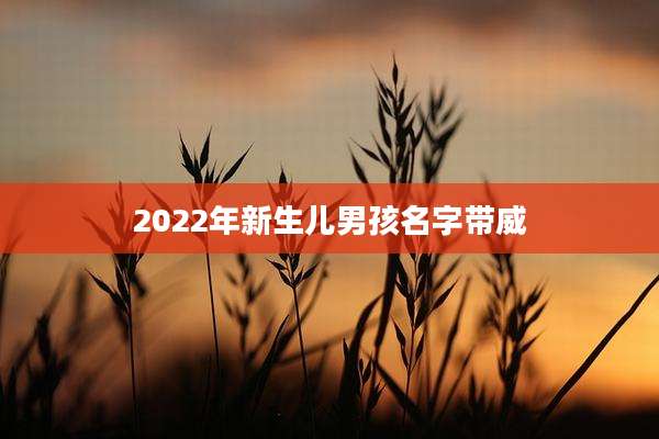 2022年新生儿男孩名字带威