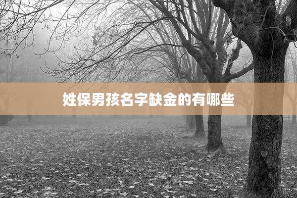 姓保男孩名字缺金的有哪些