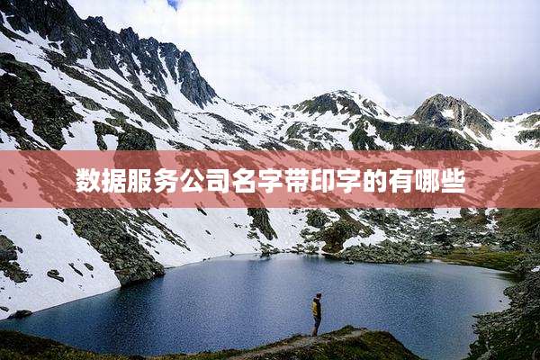 数据服务公司名字带印字的有哪些