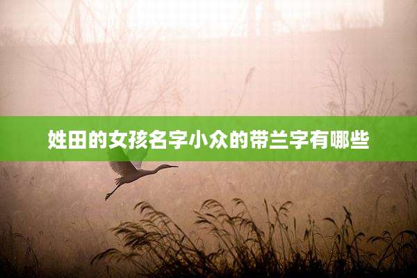 姓田的女孩名字小众的带兰字有哪些