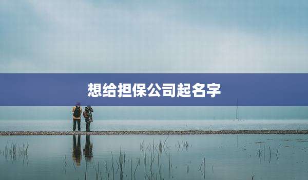 想给担保公司起名字