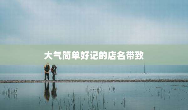 大气简单好记的店名带致