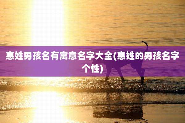 惠姓男孩名有寓意名字大全(惠姓的男孩名字个性)