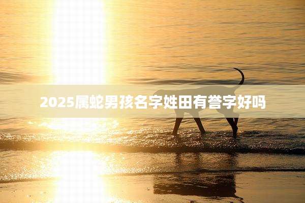 2025属蛇男孩名字姓田有誉字好吗