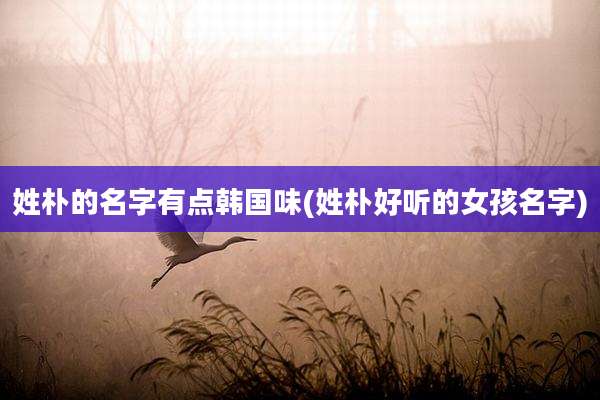 姓朴的名字有点韩国味(姓朴好听的女孩名字)