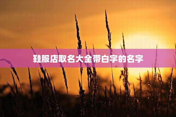 鞋服店取名大全带白字的名字