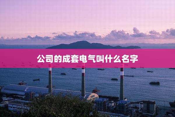 公司的成套电气叫什么名字