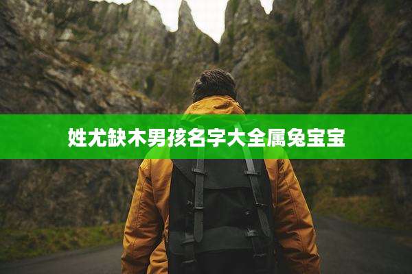 姓尤缺木男孩名字大全属兔宝宝